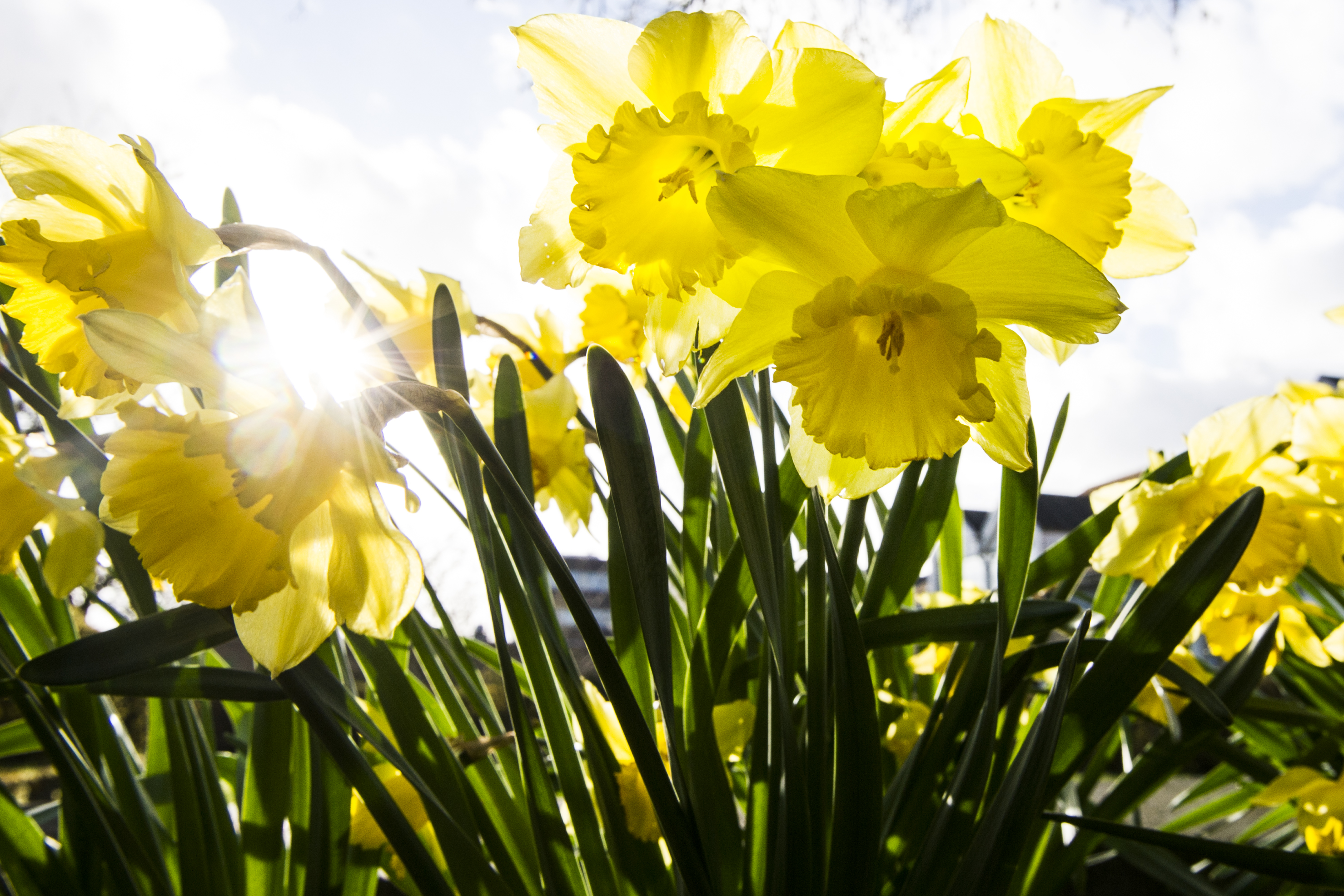 Sterinlys i en kirke